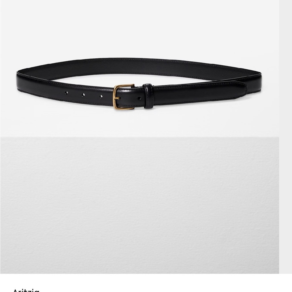 Aritzia the woman's essential solid, brass leather belt